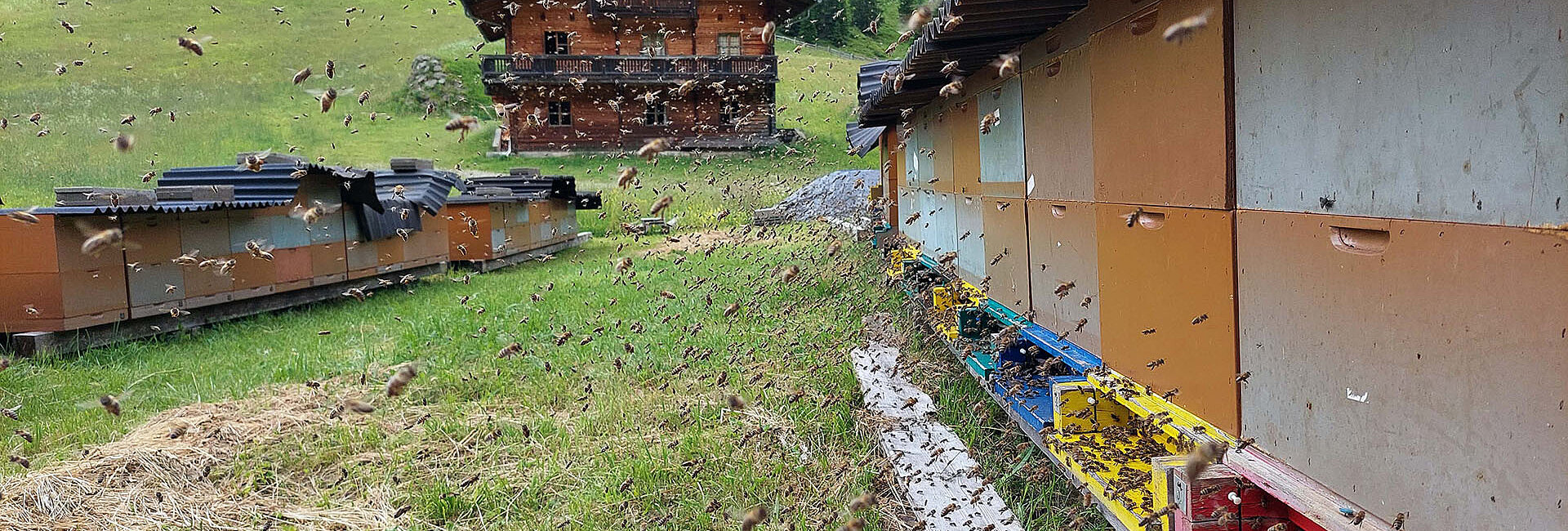 Sightseeing flight over the Unterstalleralm
